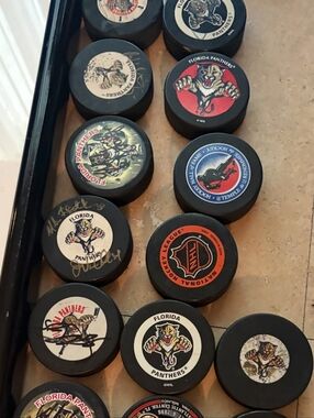 Assorted Florida Panthers NHL Hockey Pucks - Black with Team Logos